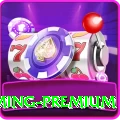 llyy - Gaming Premium