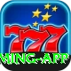 megapari.pk VIP Gaming App