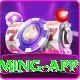 pakbet88 Gold Gaming App